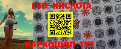 таблы Бердск