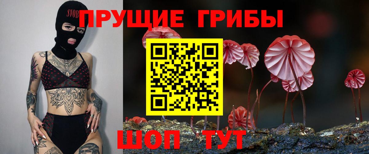 Галлюциногенные грибы Psilocybine cubensis  Вход с VPN  Оренбург  цены наркотик  Галлюциногенные грибы мухоморы 